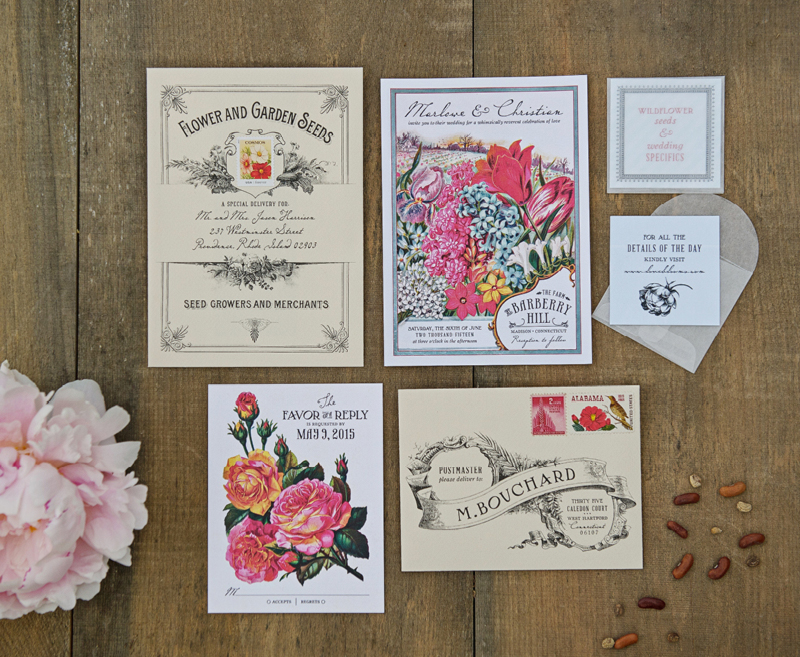 Seed Packet Invitation | Coral Pheasant